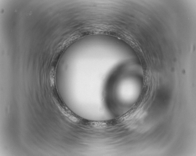 X0000060800719200511101419