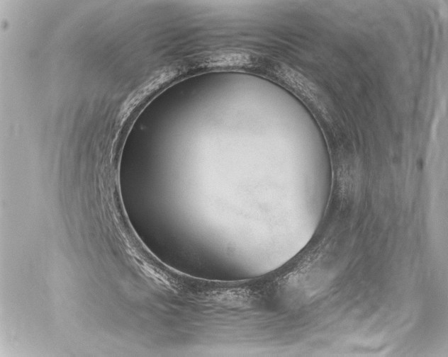 X0000060800721200511101418