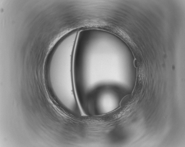 X0000060800722200511101418