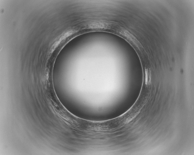 X0000060800723200511101418