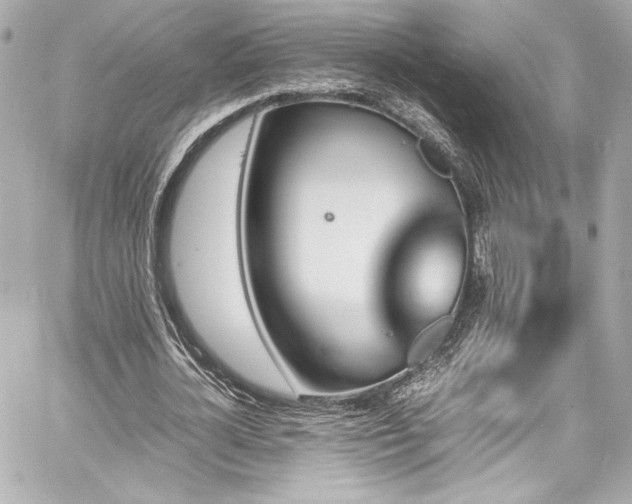 X0000060800724200511101418