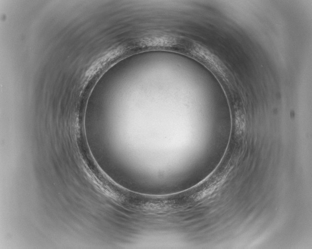 X0000060800725200511101418