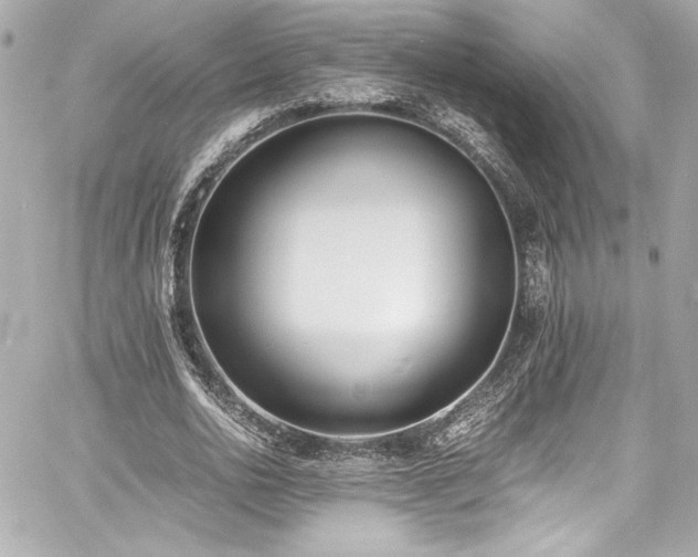 X0000060800726200511101418