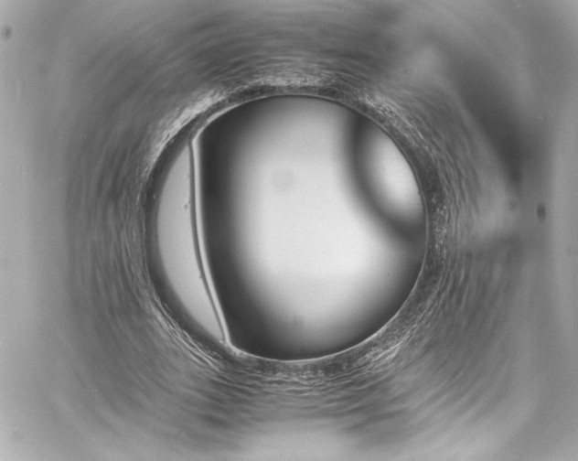 X0000060800727200511101418