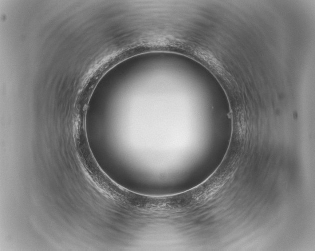 X0000060800728200511101418