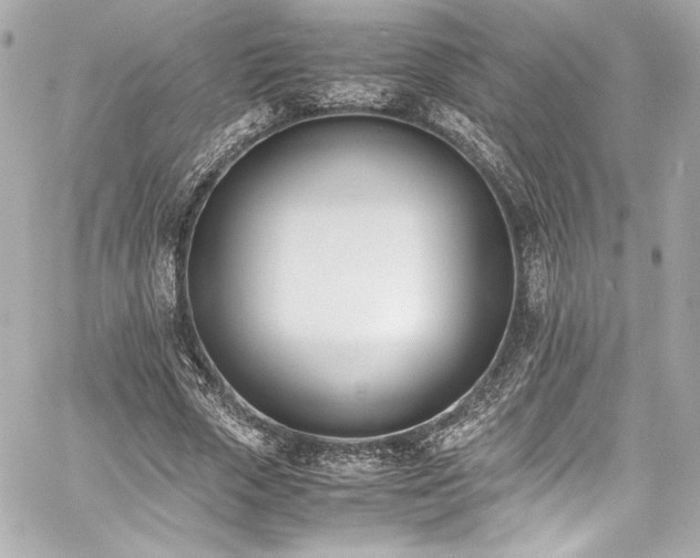 X0000060800729200511101418