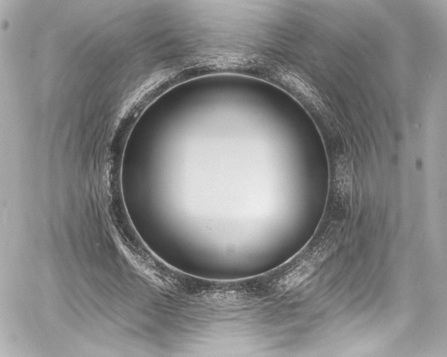 X0000060800730200511101418