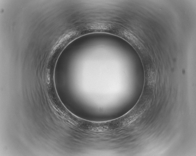 X0000060800731200511101418