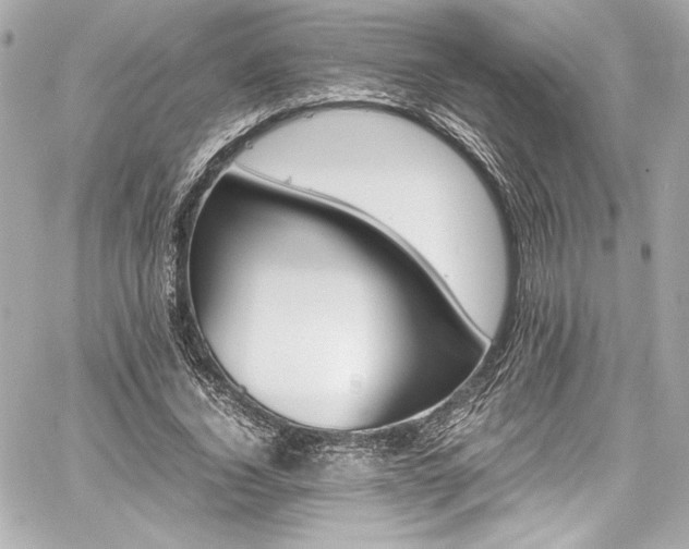 X0000060800732200511101418