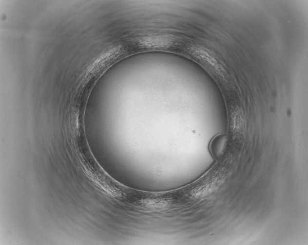 X0000060800733200511101418