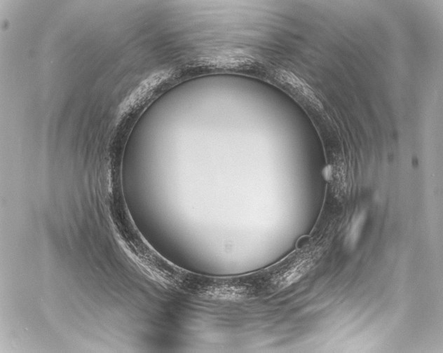 X0000060800734200511101418