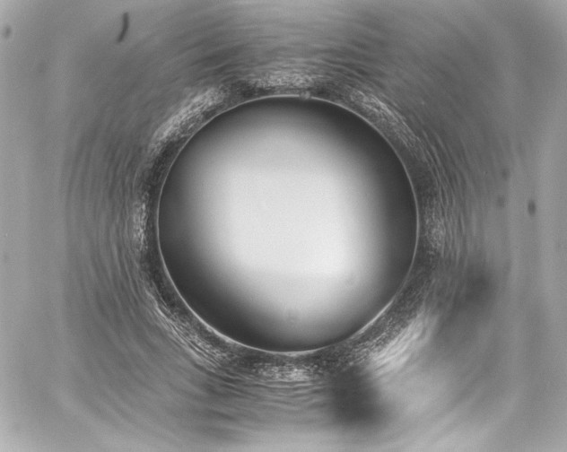 X0000060800735200511101418