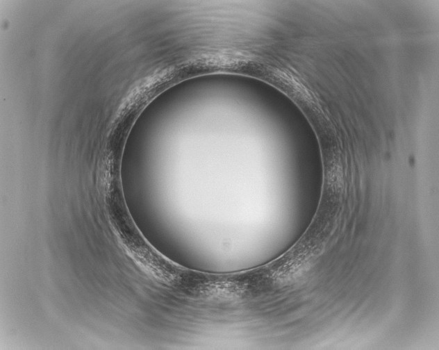 X0000060800736200511101418