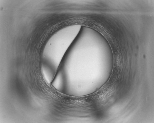 X0000060800737200511101418