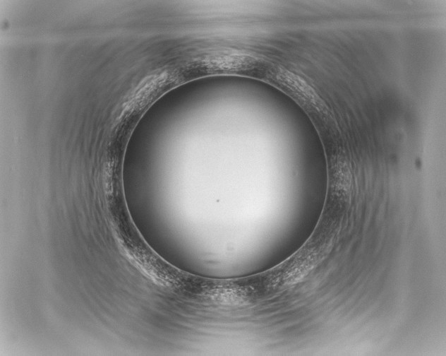 X0000060800738200511101418