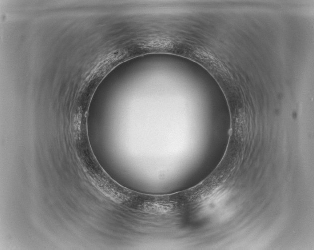 X0000060800739200511101418