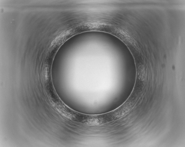 X0000060800740200511101418