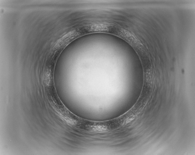 X0000060800741200511101418