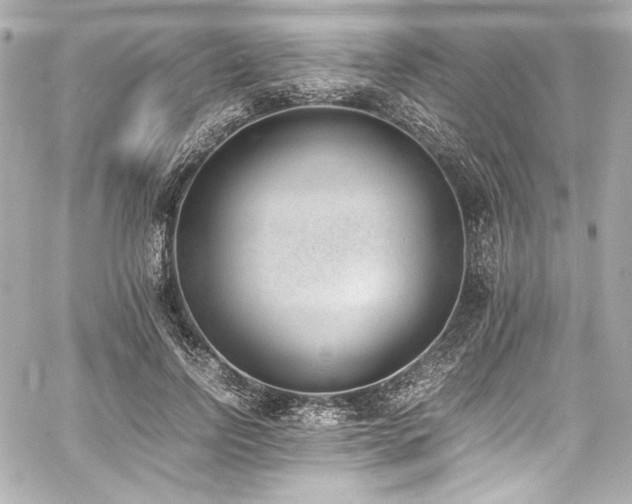 X0000060800742200511101418