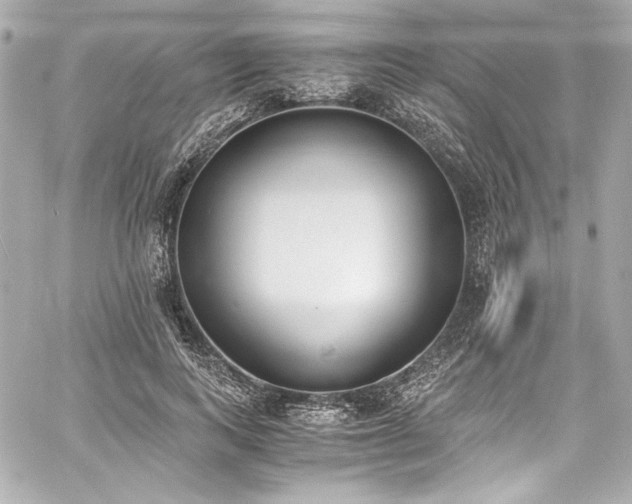 X0000060800743200511101418