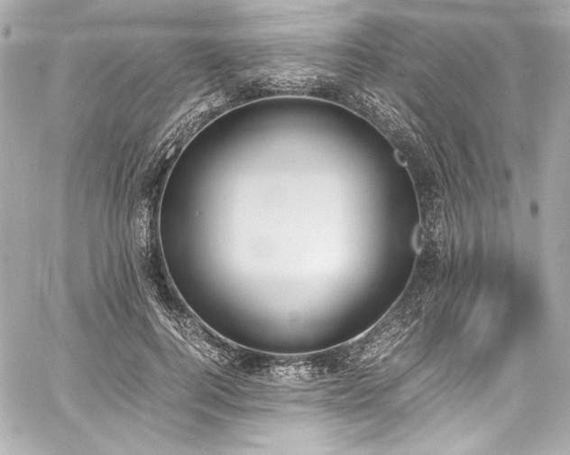 X0000060800744200511101418