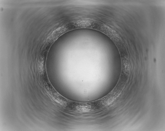 X0000060800745200511101418