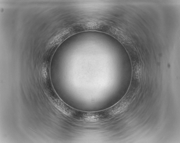 X0000060800746200511101418