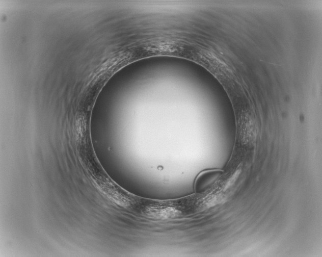 X0000060800747200511101418