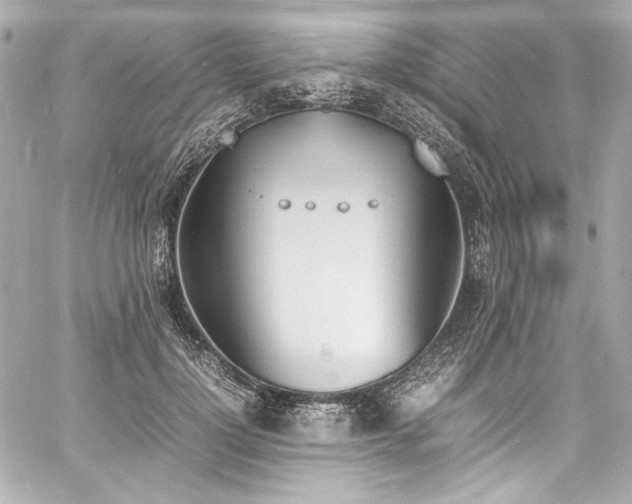 X0000060800748200511101418