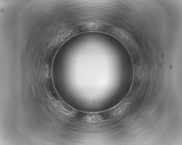 X0000060800752200511101419