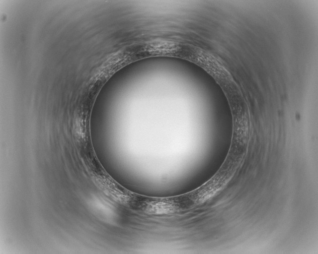 X0000060800755200511101419