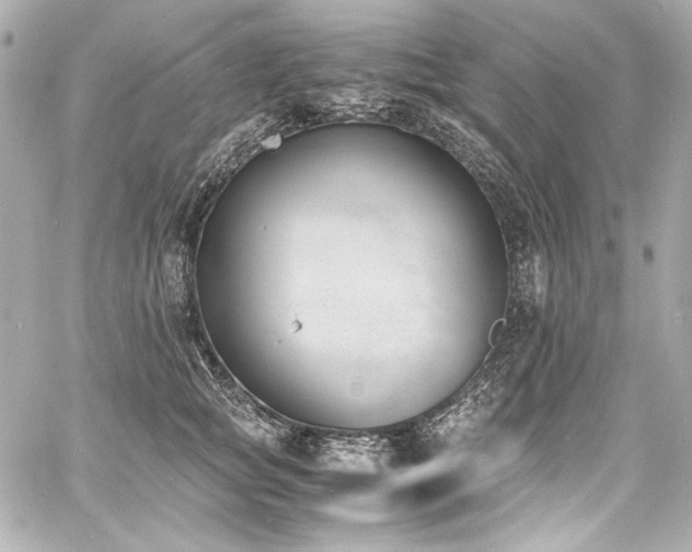 X0000060800757200511101419