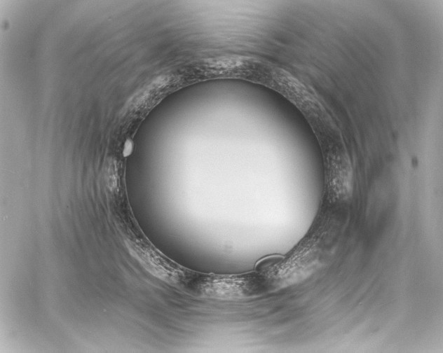 X0000060800758200511101419