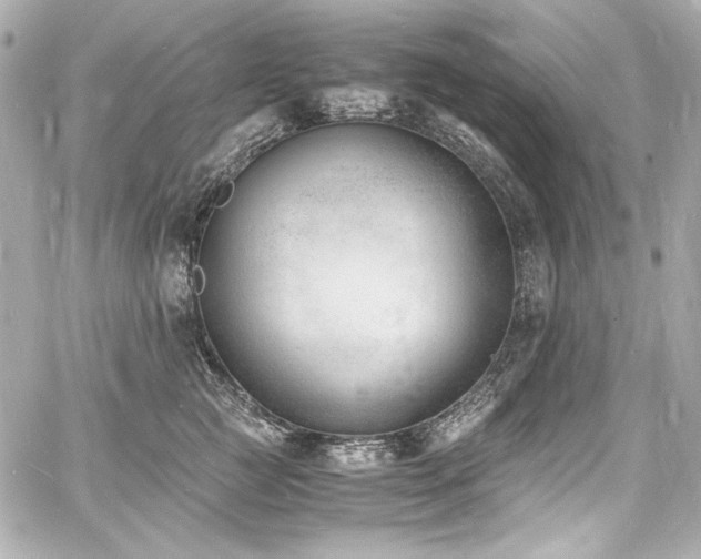 X0000060800761200511101419