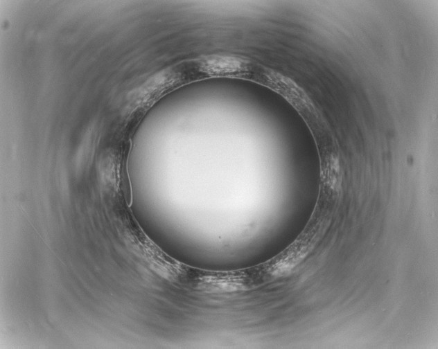 X0000060800763200511101419