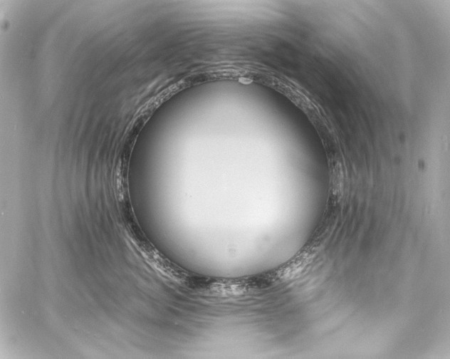 X0000060800764200511101419