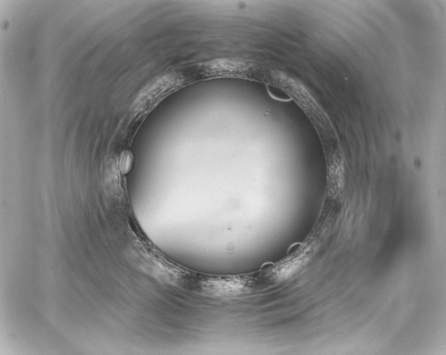 X0000060800765200511101419