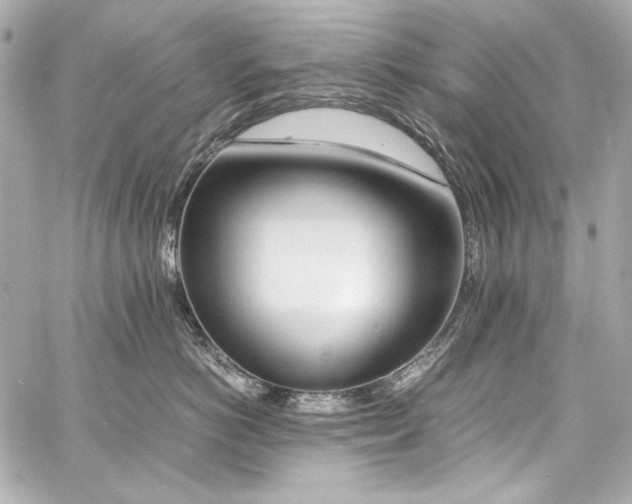 X0000060800766200511101419