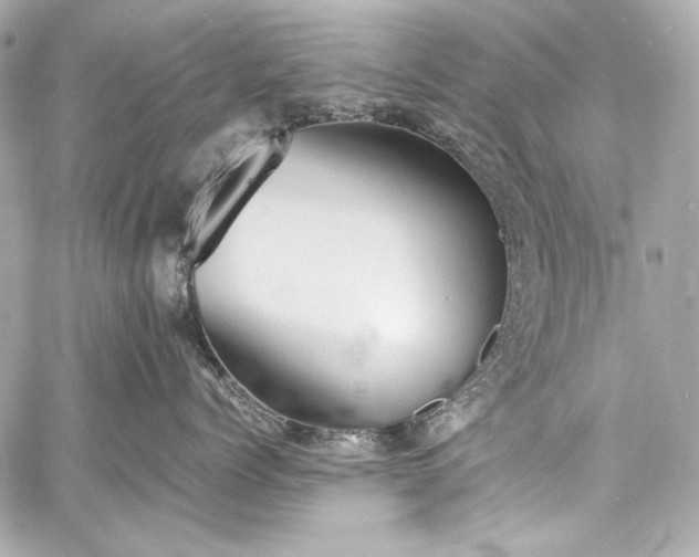 X0000060800768200511101419