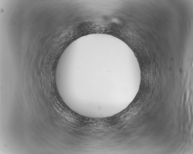 X0000060800769200511101418