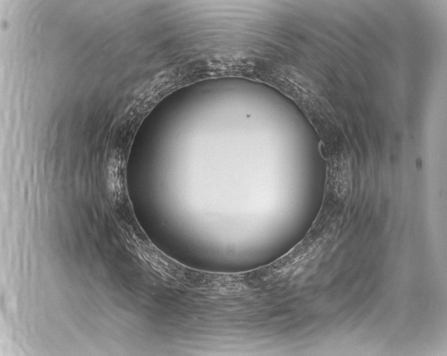 X0000060800770200511101418