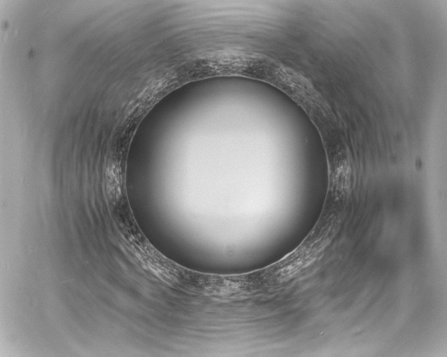 X0000060800772200511101418