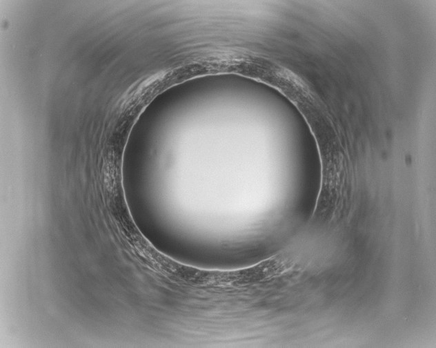 X0000060800773200511101418