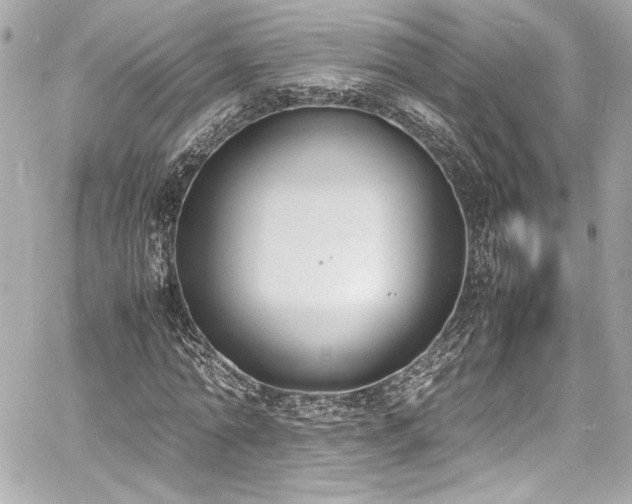 X0000060800774200511101418