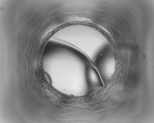 X0000060800775200511101418