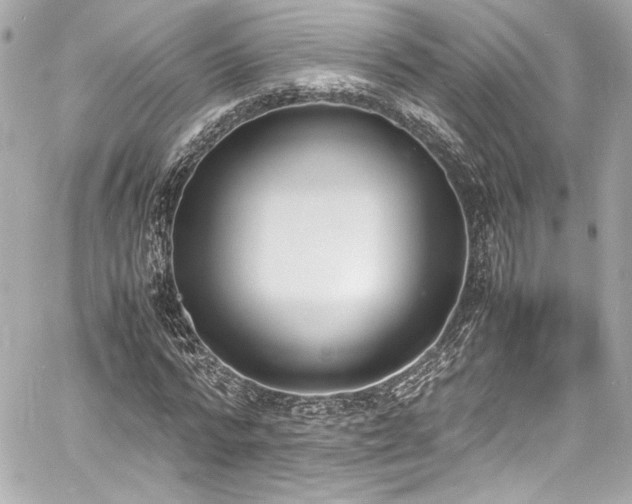 X0000060800776200511101418