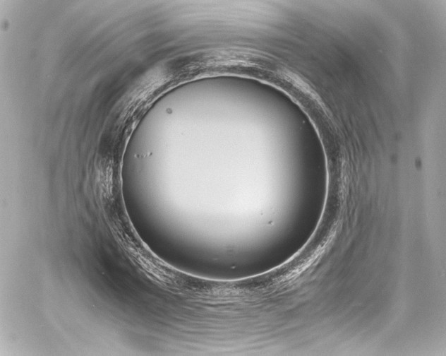 X0000060800777200511101418