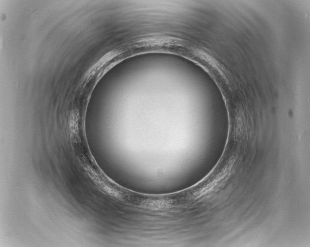 X0000060800778200511101418