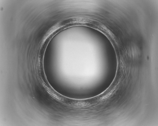 X0000060800779200511101418