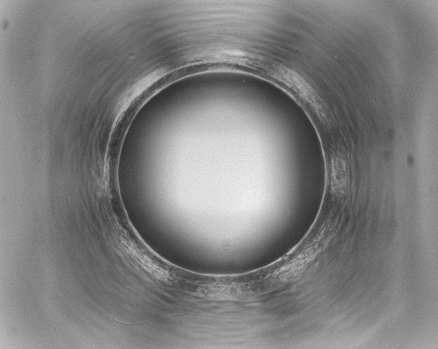 X0000060800780200511101418